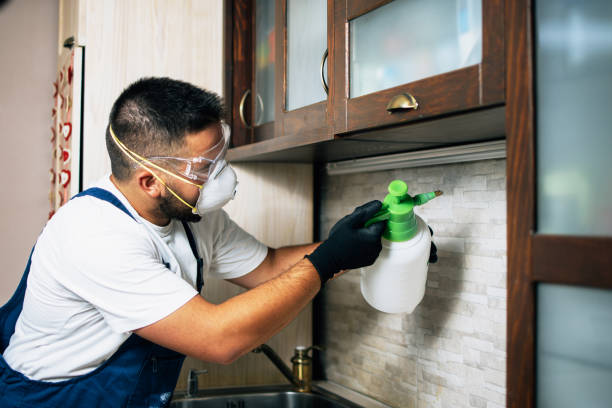 Best Emergency Pest Control  in Slippery Rock University, PA