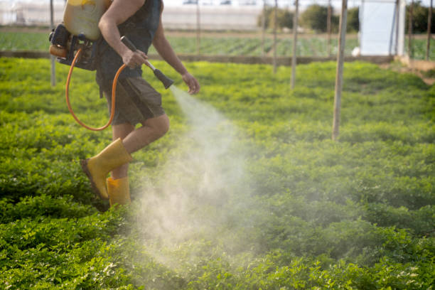 Best Affordable Pest Control Services  in Slippery Rock University, PA