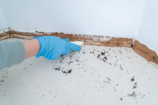 Best Pest Removal Services  in Slippery Rock University, PA