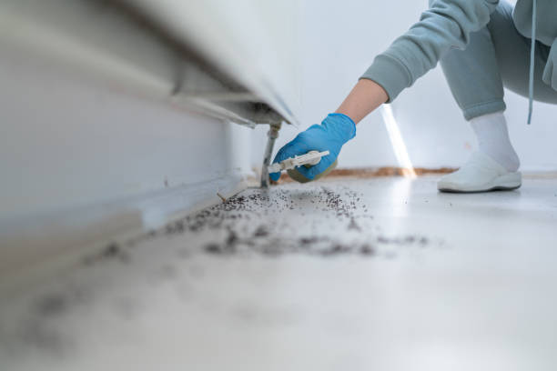 Best Wildlife Control Services  in Slippery Rock University, PA